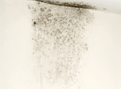 신안 주택 아파트 공장 결로검사 결로공사 시공업체